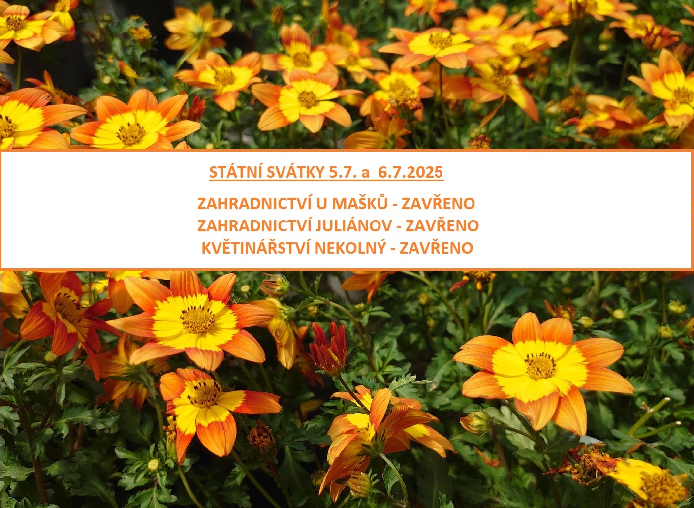 Svátky červenec