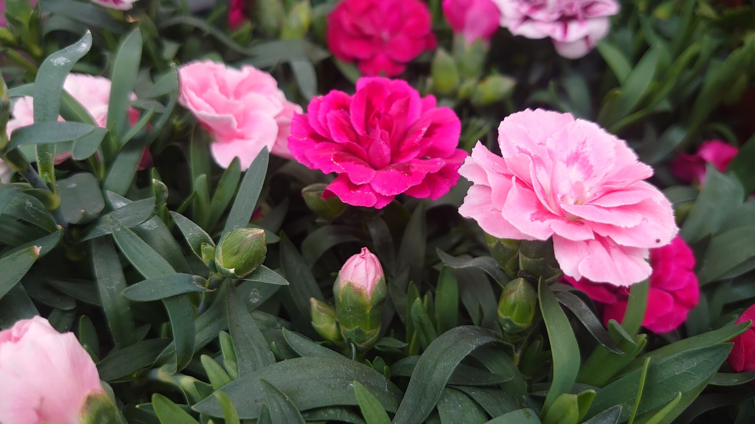 093998d7-8e92-4d56-b115-2c0e2c2bac71